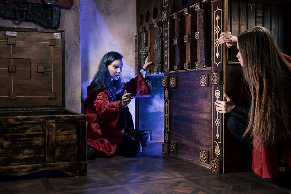 Гарри. Испытание чародеев