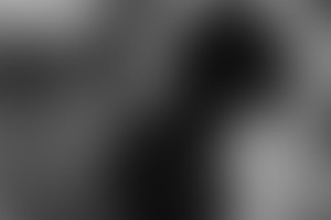 Фотография ролевого квеста Alla Vittoria, или Все ради победы от компании Trigger Zone (Фото 2)