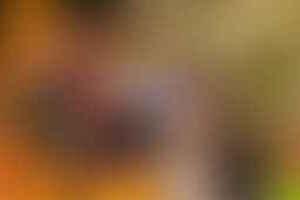 Фотография квеста-анимации Пиратская авантюра от компании Клаустрофобия (Фото 1)