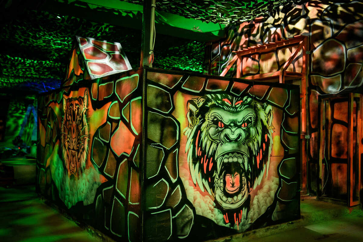 Фотография экшн-игры Лазертаг "Джунгли" от компании Lasertag Arena (Фото 2)