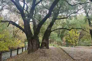 Фотография городского квеста Люди в черном: миссия - спасти мир от компании Ubego (Фото 1)