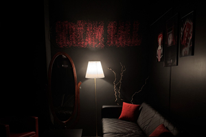 Фотография перформанса Хоррор-кинотеатр "Зал криков" от компании Scream Hall (Фото 2)