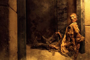 Фотография квеста Проклятие Рамзеса от компании Клаустрофобия (Фото 5)