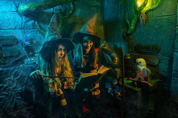 Гарри: тайна запретного леса