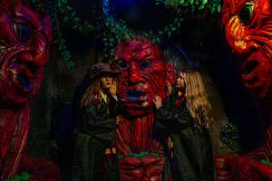 Фотография квеста Гарри: тайна запретного леса от компании Incubo (Фото 3)