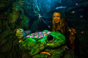 Фотография квеста Гарри: тайна запретного леса от компании Incubo (Фото 4)