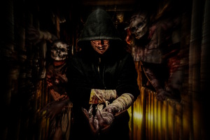 Фотография перформанса Bloodcore от компании Bloodborn Corp (Фото 3)