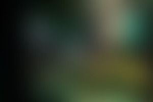 Фотография экшн-игры Pixel Quest (Солнечногорск) от компании Pixel Quest (Фото 5)