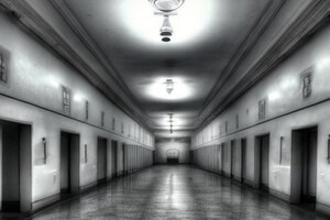 Фотография перформанса Darknet от компании G-company (Фото 1)