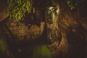 Фотография квеста Гарри: узник Азкабана от компании Квест для всех (Фото 2)