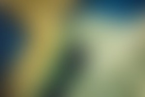 Фотография квеста СуперМарио от компании Без паники! (Фото 2)