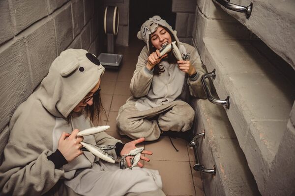 Фотография квеста «Операция "Пингвины"»