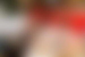 Фотография квиза Лига индиго от компании Лига индиго (Фото 3)