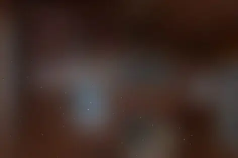Квест «Полюс» от Арлекино