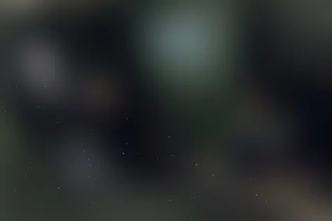 Квест «Побег» от выХод