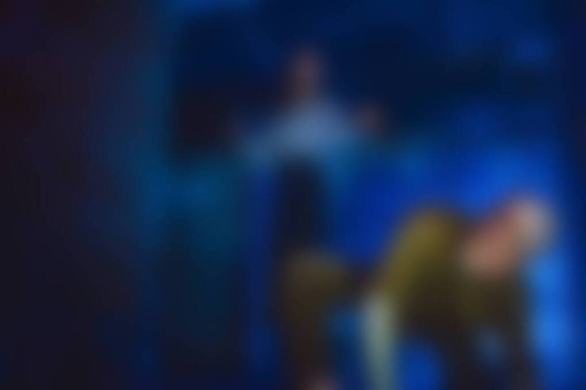 Фотография перформанса Immortalitas от компании Xlab (Фото 3)
