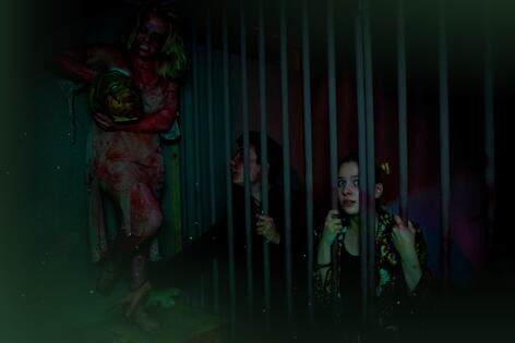 Квест-Перформанс «Horror House Шоу» от HorrorHouse Квест-Перформанс «Horror House Шоу» от HorrorHouse