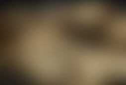 Фотография квеста-анимации Дневник кладоискателя 2: куда ведет единорог от компании Живые квест-туры (Фото 1)