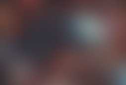 Фотография ролевого квеста Переполох по-голливудски от компании Go Quest (Фото 1)