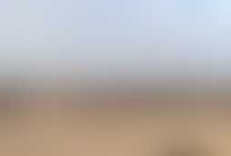 Фотография ролевого квеста Пустыня от компании ЖКМ (Фото 1)