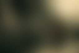 Фотография ролевого квеста Славянский квест от компании ЖКМ (Фото 1)