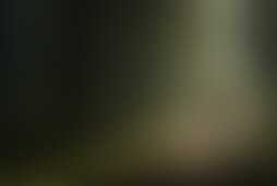 Фотография ролевого квеста Эпидемия от компании Изнанка квест (Фото 1)