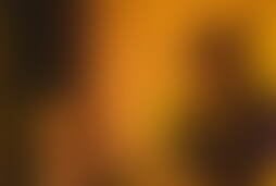 Фотография ролевого квеста Золотая лихорадка от компании Квесты мистера Риддлера (Фото 3)
